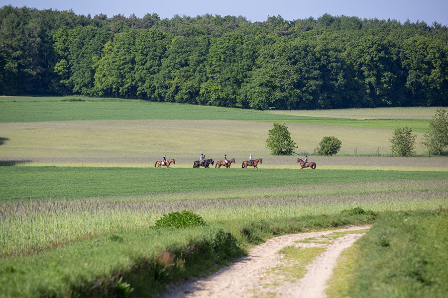 Montferland-wandelen